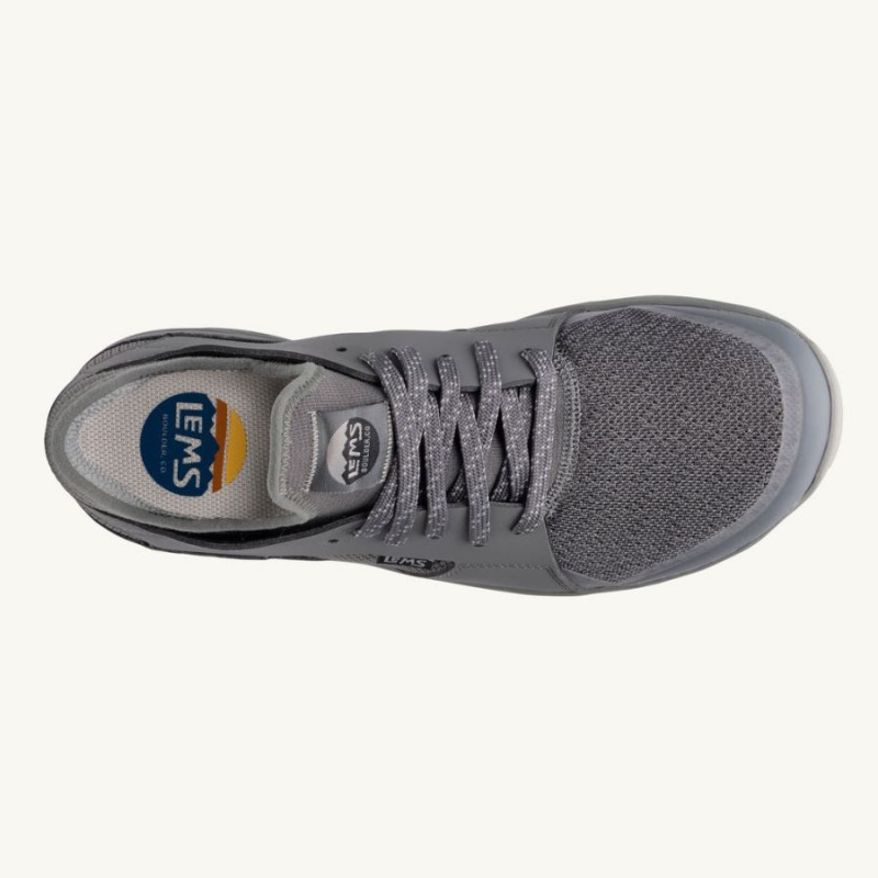 Lems Mesa Sneakers Herre Grå | DKTKVMI