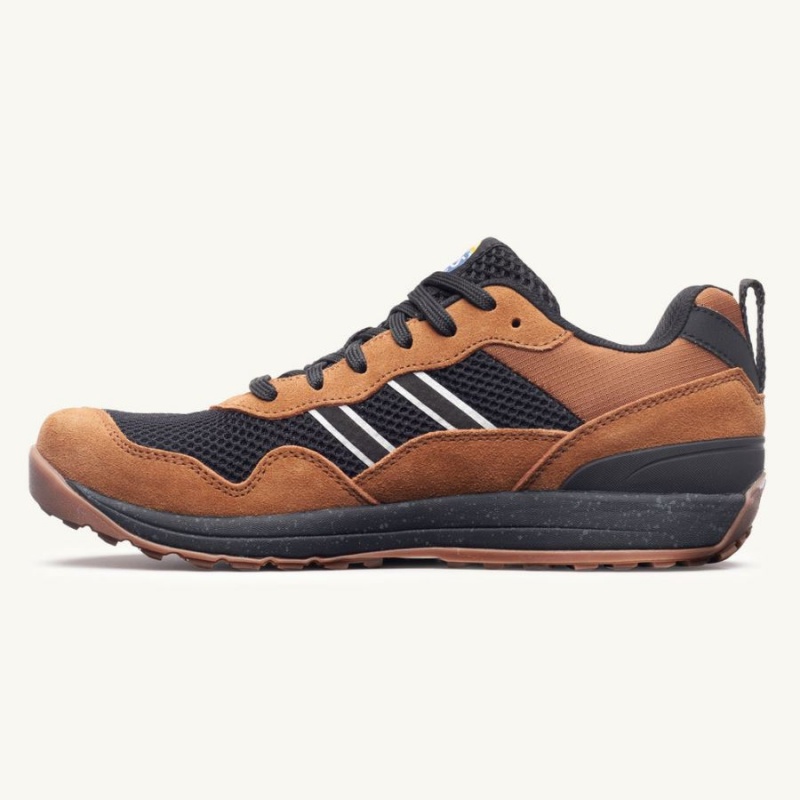 Lems Primal Pursuit Sneakers Dame Brune | DKSOHWB